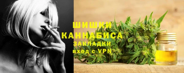 спайс Гусь-Хрустальный