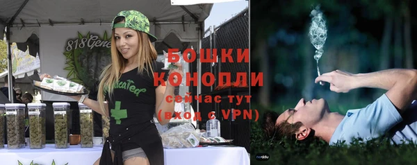 спайс Гусь-Хрустальный